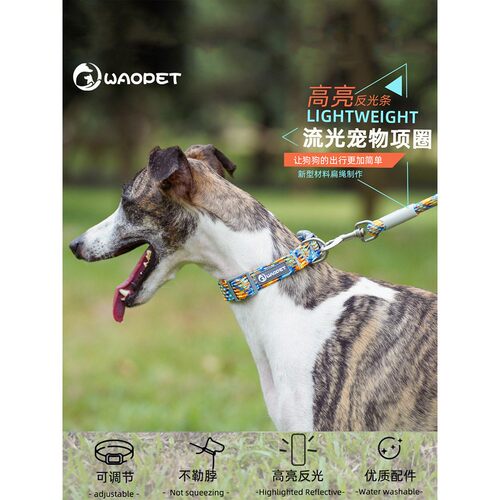 狗狗项圈牵引绳舒适反光脖圈小型犬中型犬大型犬专用狗绳宠物颈圈