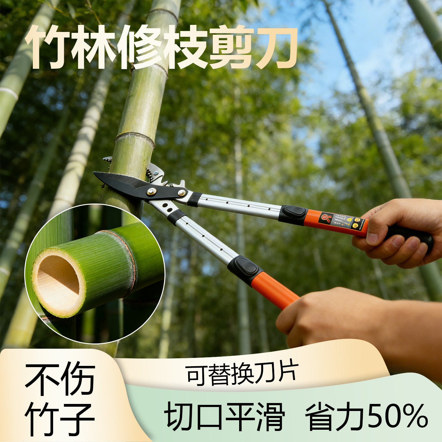 竹林修枝大力剪刀专用果树剪枝修剪花卉园林园艺强力粗枝大剪子