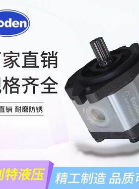Boden博顿齿轮泵BHP2.6B0D44/40/38/36/32/30/28/25/22/19/16T0E0