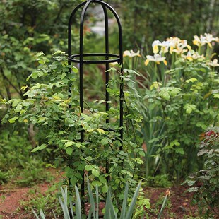 欧式铁艺方管圆柱爬藤架铁线莲月季鸟笼爬藤架庭院花架子