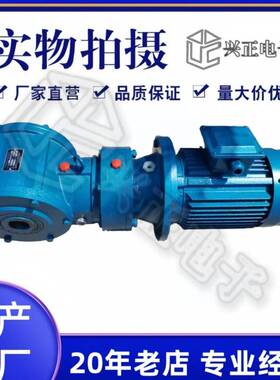 sbd65申克称专用减速机zcdg DZXD系列皮带秤悬挂式减速机厂家