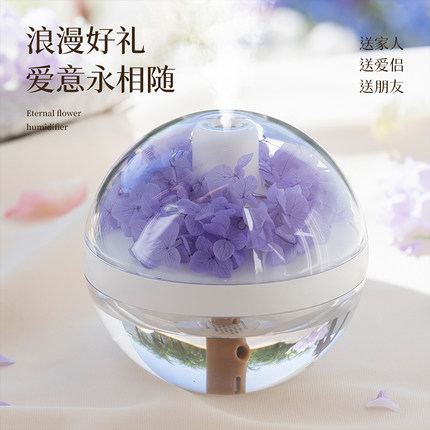 加湿器小型桌面迷你办公室宿舍学生便携式雾化器空气无线充电usb