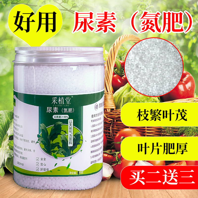 采植堂尿素黄金冬青树北美高山榕四季土壤改良喷叶铁富贵叶面肥