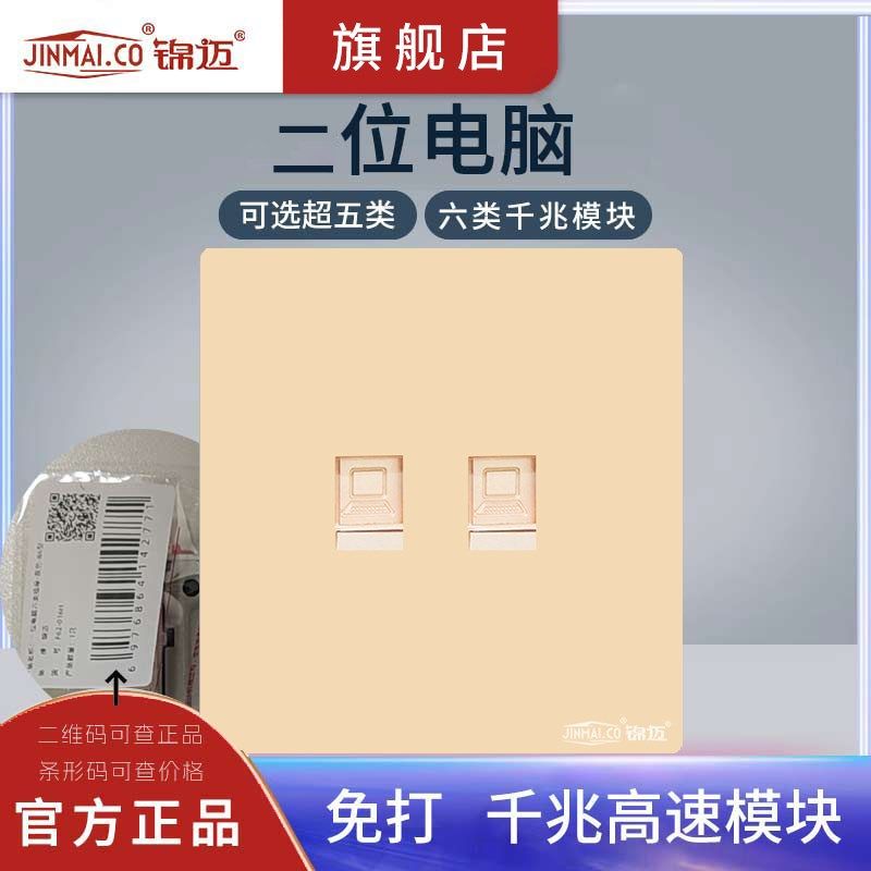 双电脑宽带插座面板五类六类高速双网口电脑网络千兆模块网线插座
