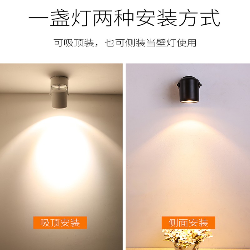 明装万向可调吸顶灯全光谱植物生长灯室内花卉绿植仿太阳光补光灯