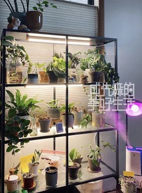植物生长灯带灯管保温柜温室灯定时盆栽植物灯智能遥控灯育苗