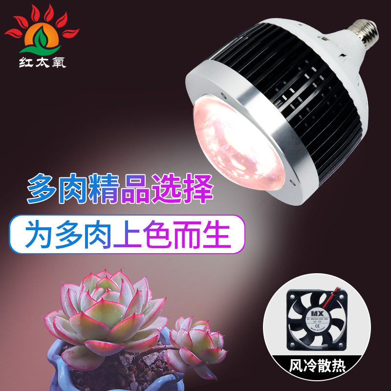 全光谱多肉补光灯球泡筒灯家用室内绿植花卉上色光照灯植物生长灯