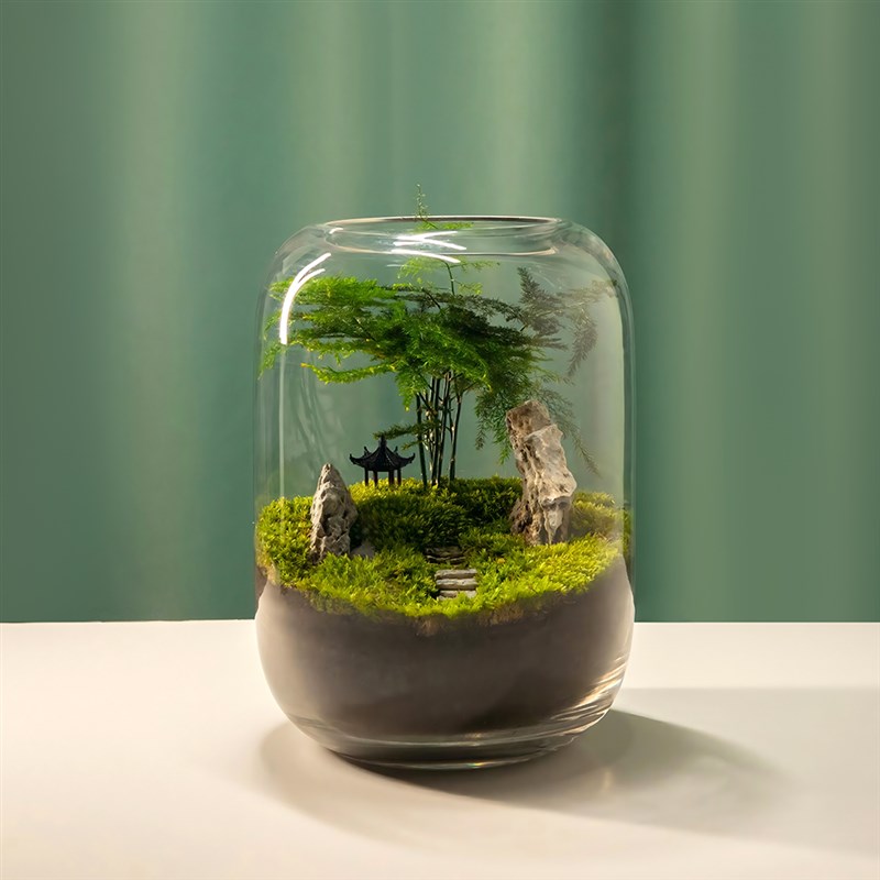趣味苔藓微景观创意桌面生态瓶盆栽盆景摆件造景办公室植物绿植物