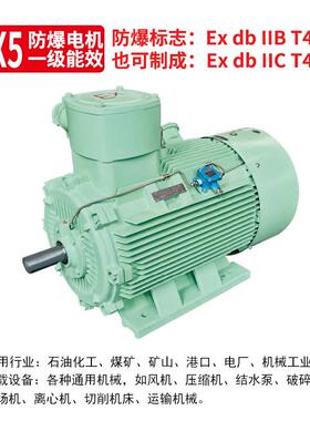 YBX5-80M1-20.75W防爆电机ExdbIIBT4Gb石化//化工有防爆证