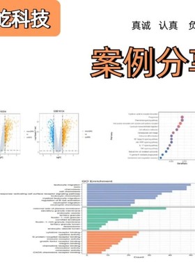 生信分析  单细胞测序  sci 2-9分定制 TCGA/GEO/KEGG数据库挖掘