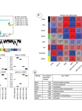 WGCNA共表达网络分析/样本关系聚类图/表型和模块相关性图