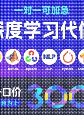 python代编程深度学习机器图像视觉接单代跑lstm代码调试编写爬虫