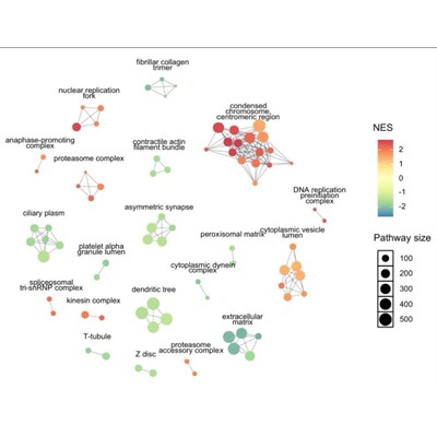 GWAS 全基因组关联分析 QTL 群体结构进化树曼哈顿图 QQ 图 PCA