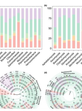 R语言代绘图SCI科研生信环境进化树热图多样性数据分析作图教程