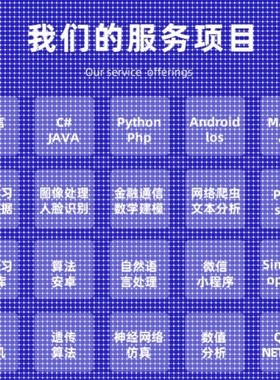 Python代编程深度学习java程序代做matlab代码web帮做彷真算法c++