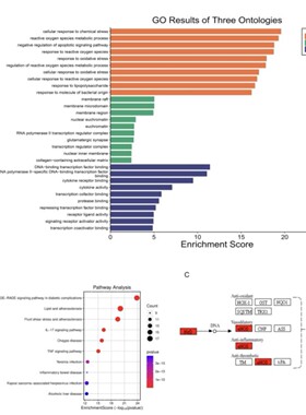 10x单细胞测序数据基础分析cellranger 空间转录组atac流程代跑
