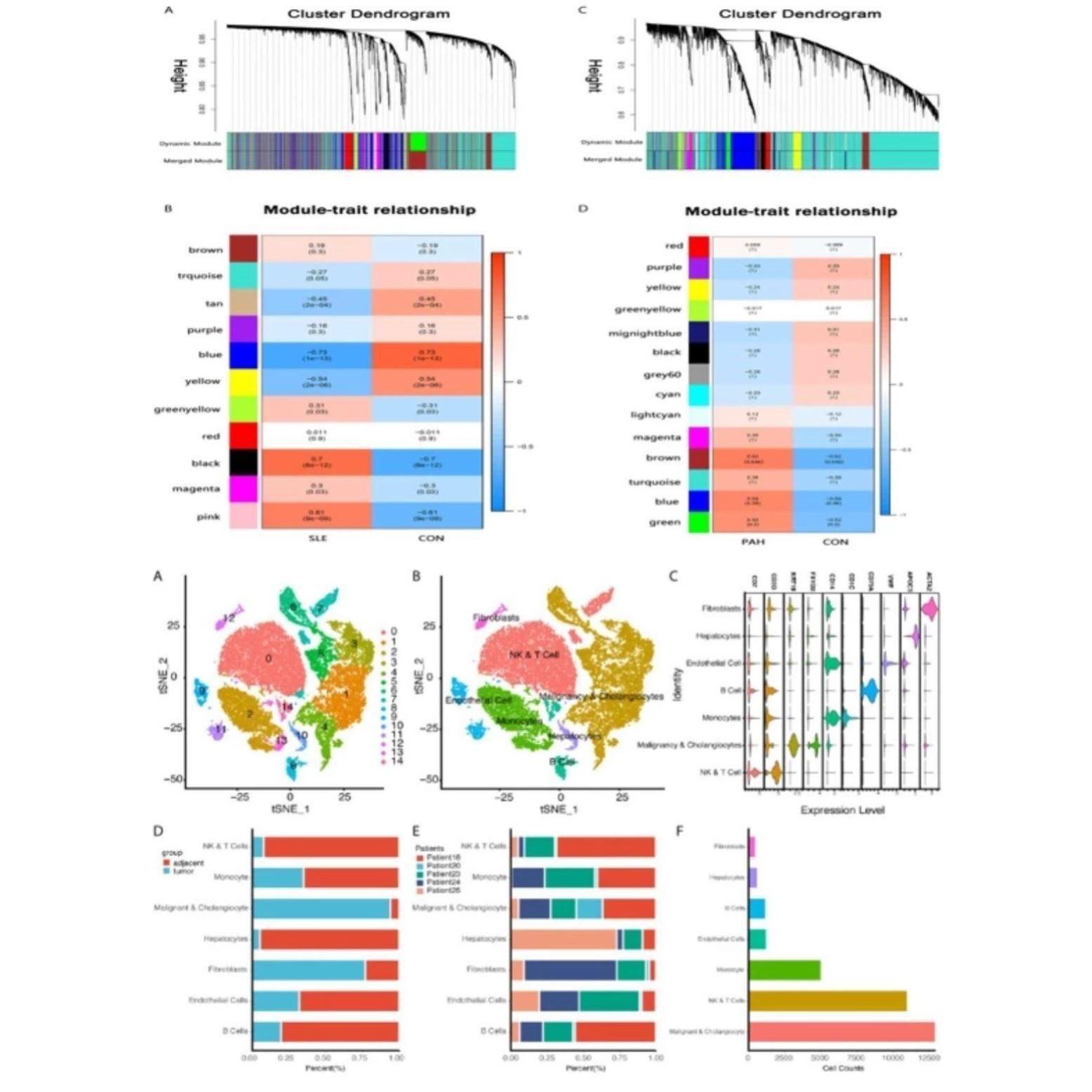 R语言绘图R代码自动出图医学临床SCI科研生信热图数据分析作图包