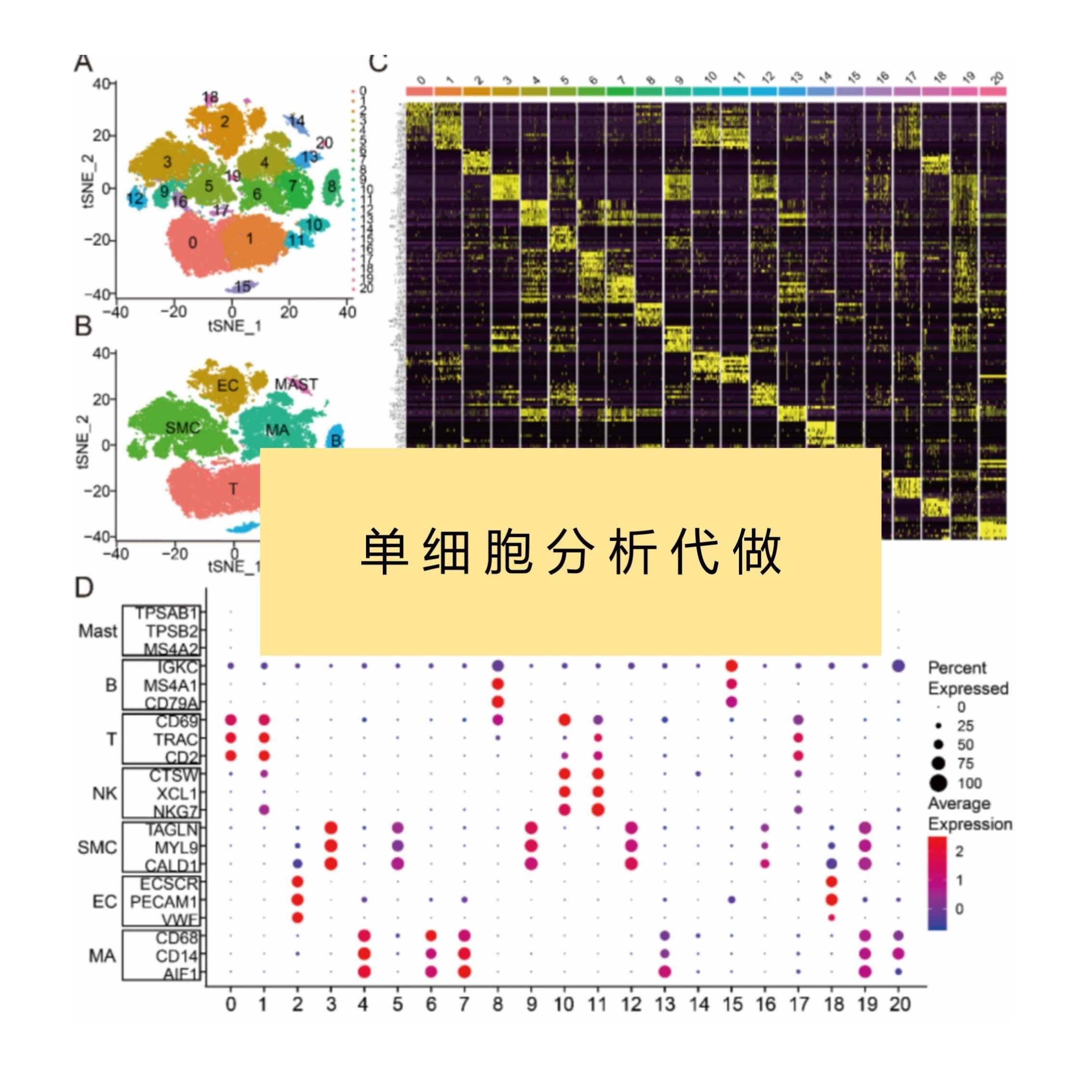 单细胞分析测序转录组挖掘TCGA/GEO数据库