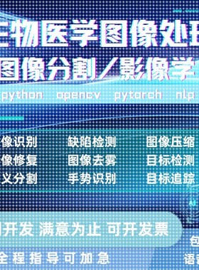python机器深度学习程序pytorch医学图像分割设计nlp算法研发