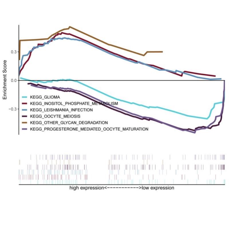 ?微生物LEfSe分析差异物种进化分支生信绘图?