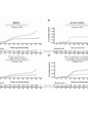 Kaplan-Meier曲线 KM曲线 Cox回归 Landmark数据分析教学