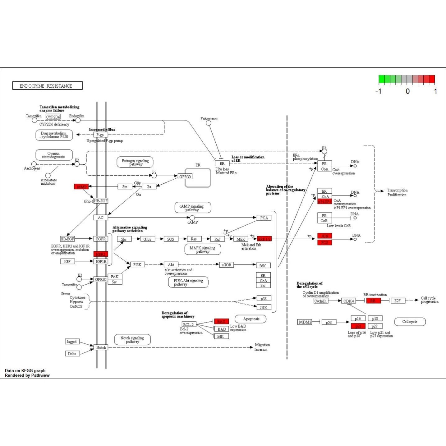 网络理学/单味/复方/GO/KEGG/韦恩图作图