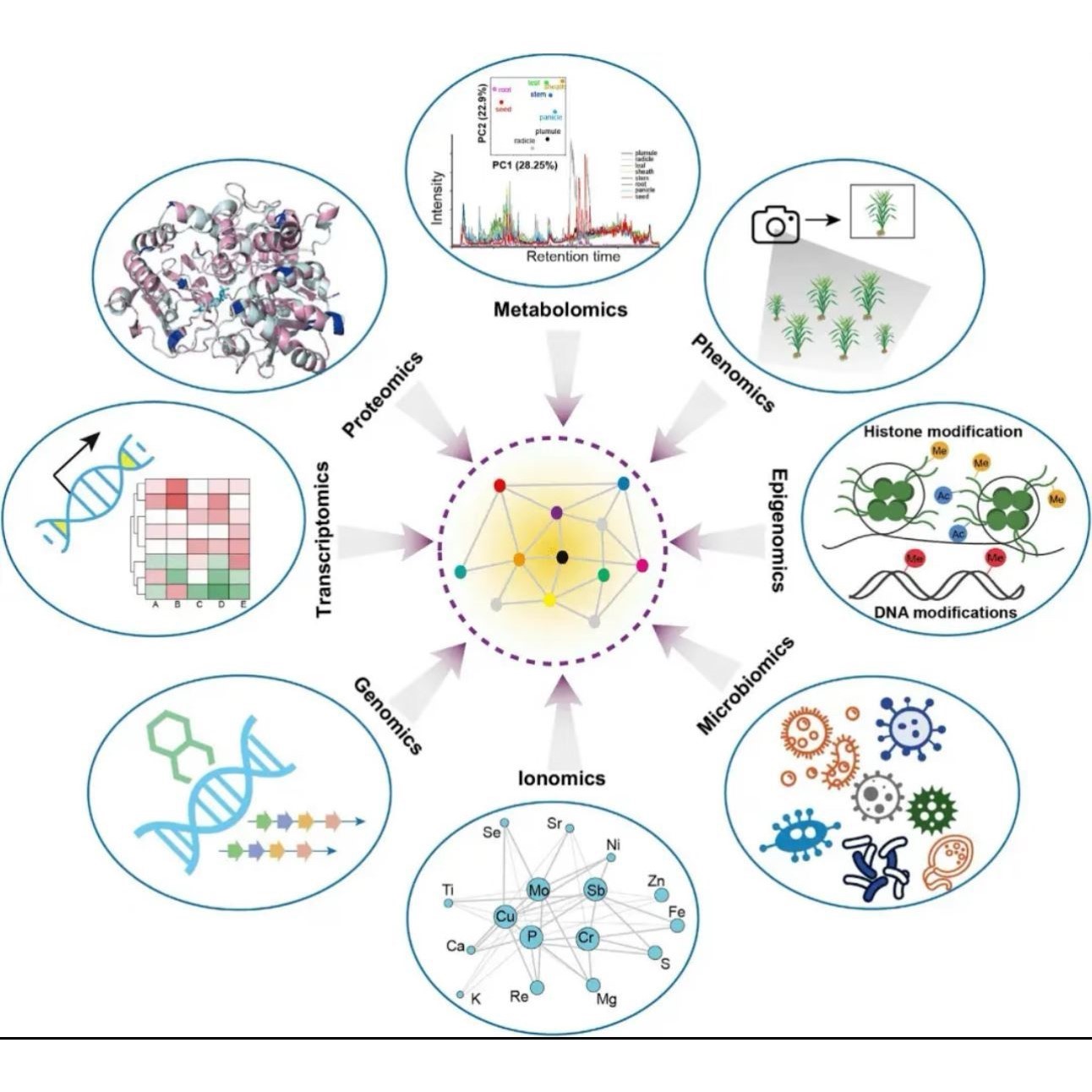 R 绘图 SCI 桑基热图数据分析个性化服务