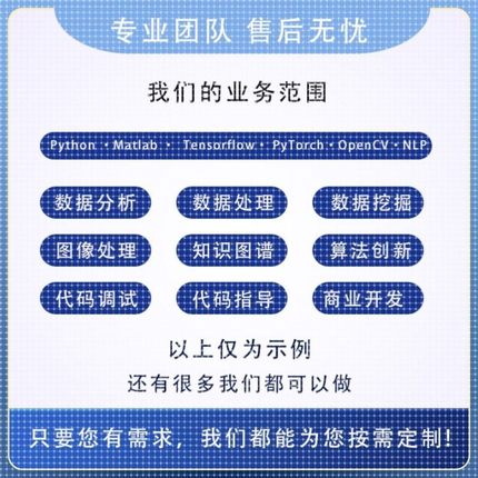 python代编程深度学习机器学习算法程序代做代码编写接单指导调试