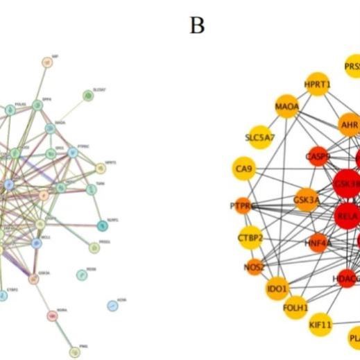 网络理学单味复方网络毒理学机器学习sci创新点多组学联合
