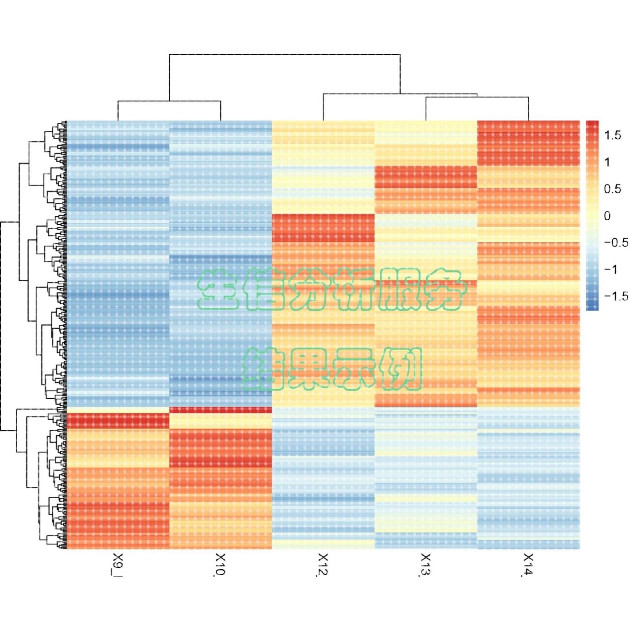 生信分析全程专业服务单细胞测序空间转录组蛋白组学