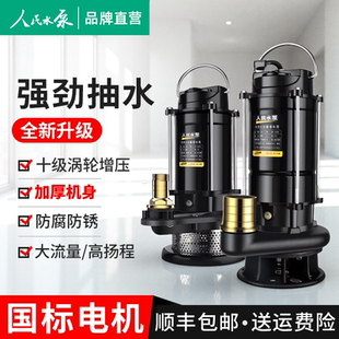 人民潜水泵220v高扬程大流量上海家用小型清污农用灌溉抽粪抽泥浆