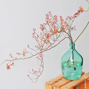 蔷薇果绿色山归来鲜切枝鲜花云南直发鲜切花水养新鲜插花水培绿植