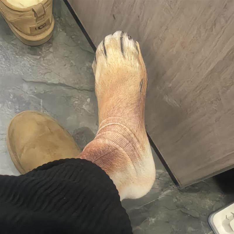 3D动物袜子仿真搞怪袜猫爪袜狗爪袜老虎印花袜网红同款个性长筒袜