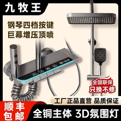 顺丰包邮九牧王全铜正品花洒套装