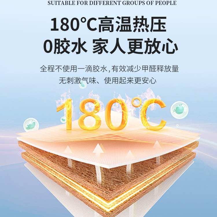 床垫天然椰棕床垫1.5m棕榈垫租房经济型儿童折叠榻榻米垫