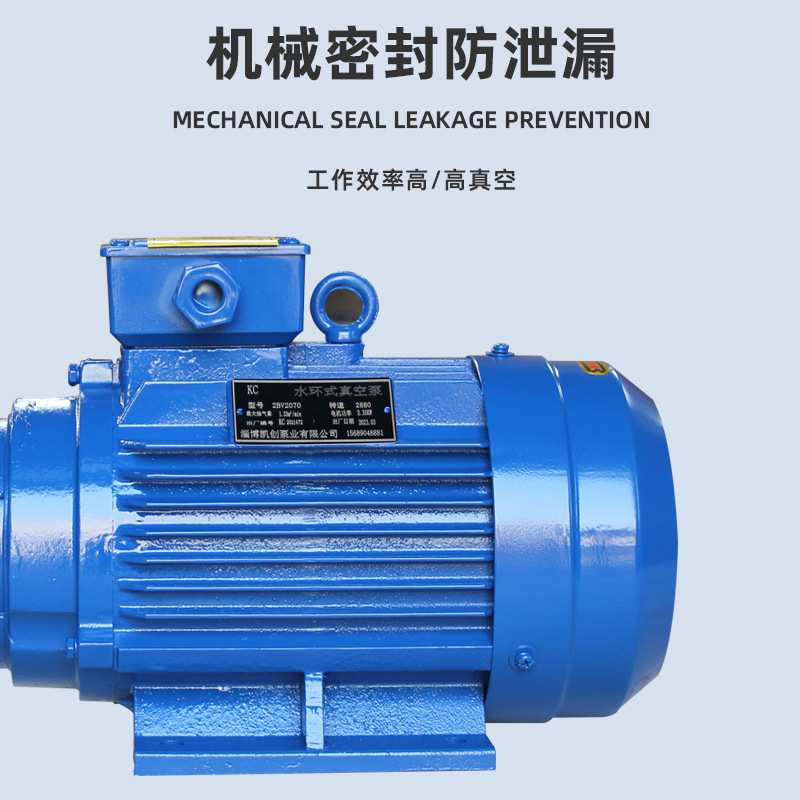 2BV2070水环真空泵 卧式液环循环水泵真空泵大抽速水式液环真空泵