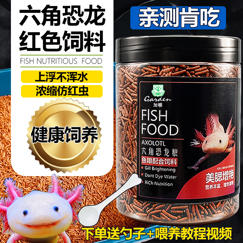 六角恐龙鱼饲料娃娃鱼食物东方蝾螈高蛋白饲料六六两栖鱼上浮鱼食