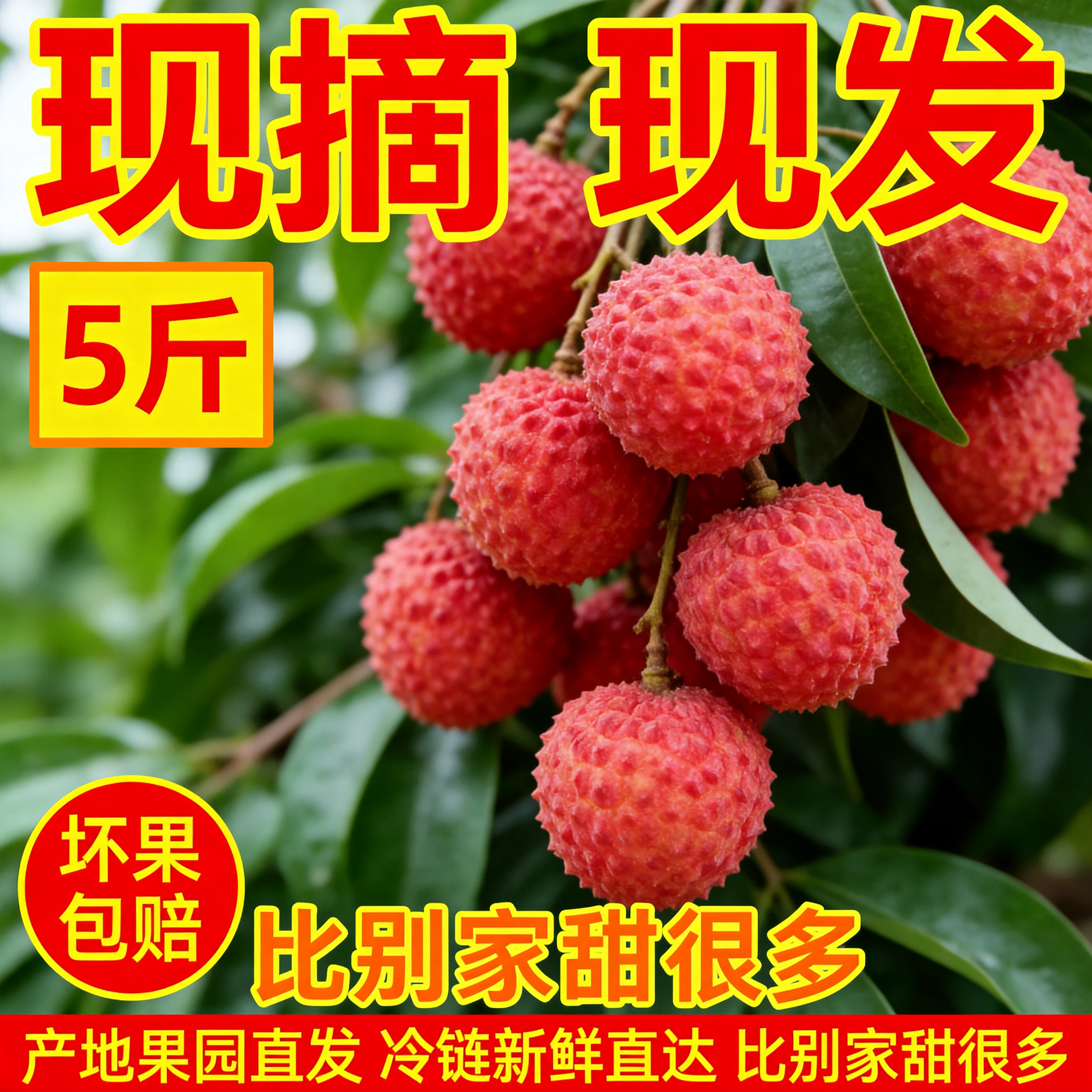 冷链发货当季荔枝产地直发高州白糖罂新鲜整箱装现摘现发精选水果