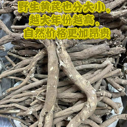 甘孜理塘野生黄芪正宗正品野生特级大片黄芪切段高原自然晾晒天然