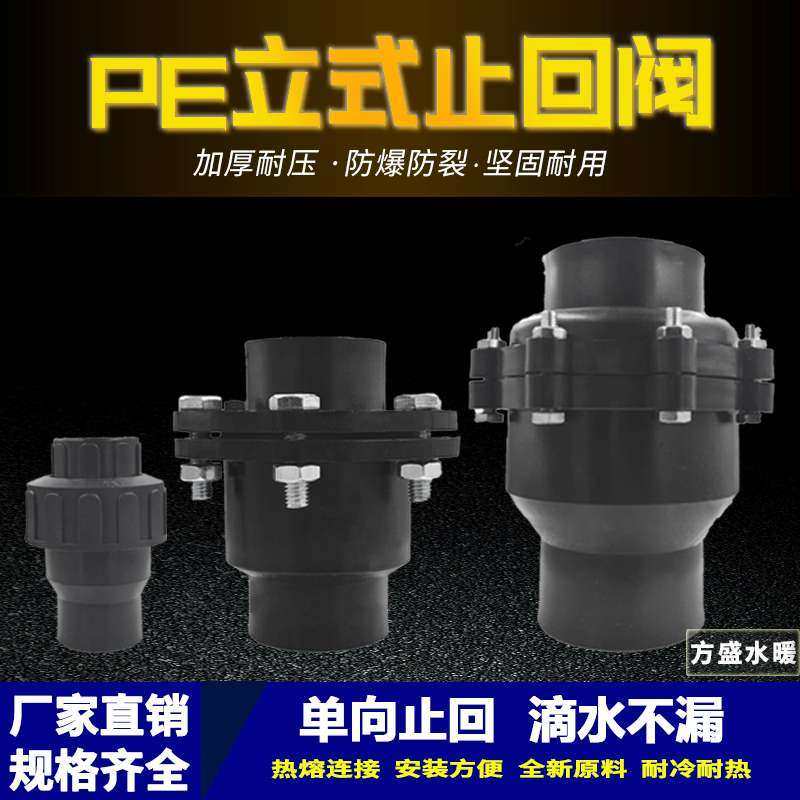 PE20活接热熔立式止回阀图片
