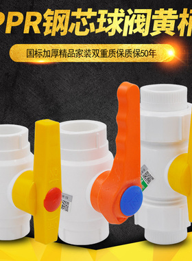 PPR钢芯球阀双内牙球阀阀门闸阀截止阀20 4分25PPR水管管材配件
