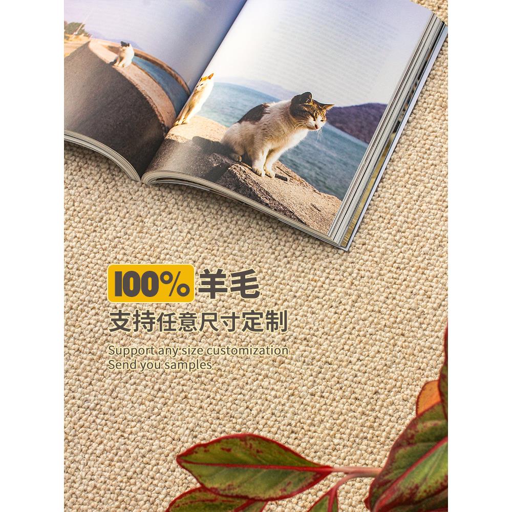 羊毛地毯客厅沙发茶几圆垫椅垫卧室床边飘窗轻奢家用纯色加厚定制