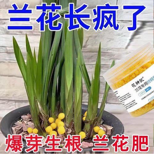 兰花专用控释复合肥土壤活化