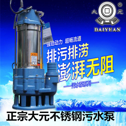 浙江大元水泵不锈钢污水泵化粪池污水工业农业水泵220v380v污水泵