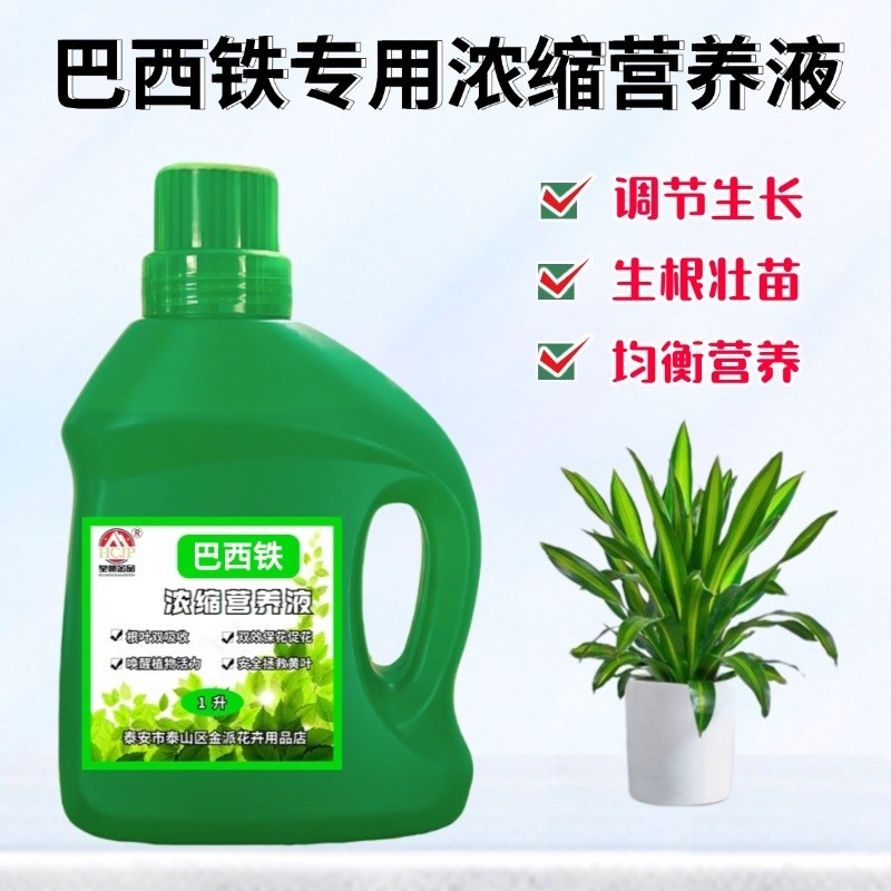 巴西铁香血龙树专用浓缩营养液盆栽绿植物金边通用氮磷钾养花肥料