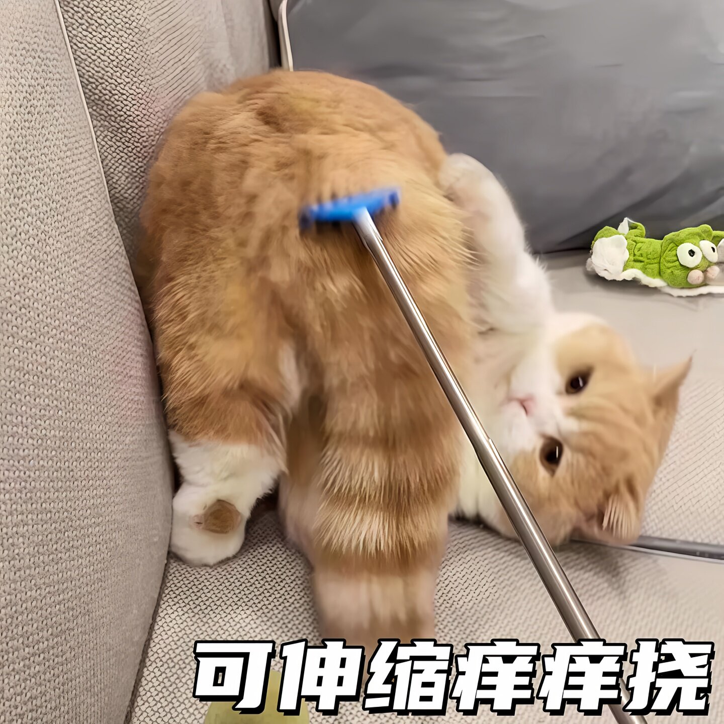 可伸缩长杆不伤肤宠物痒痒挠