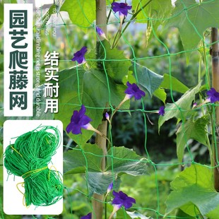 植物爬藤网铁丝种植网百香果网专用爬藤网豆角苦瓜网农用牵藤拉绳