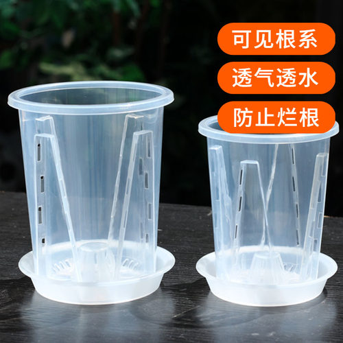 空气柱花盆控根透气透明盆蝴蝶兰专用盆青山盆树脂加厚耐用兰花盆