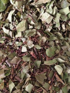 干货透骨香中药材 滇白珠透骨草满山香云南山货中草药搜山虎500克