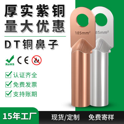 DT接线端子铜鼻子10/16/25/35/70/120/240/300平方电缆铝线耳堵油
